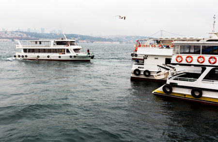 Istanbul, Turkey - November 14, 2014: Tourists are participating on a boat trip at the Bosphorus.のeditorial素材