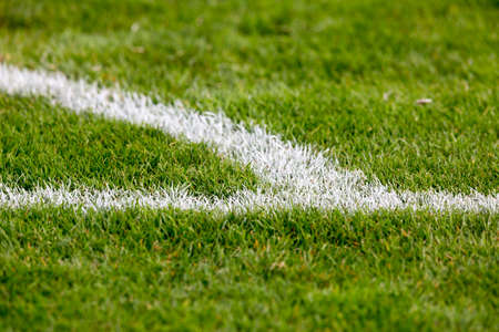 Green grass at the corner of the football (soccer) fieldの写真素材