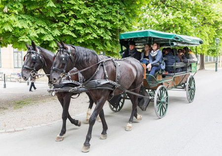 Vienna, Austria - May 1, 2015: Tourists are riding on a carriage while visiting the former imperial summer residence known as Schonbrunn Palace.のeditorial素材