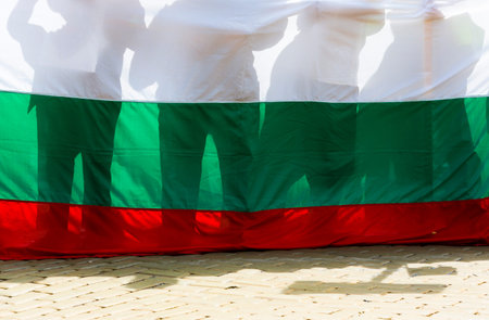 Bulgarians are protesting with the Bulgarian flag in front of them.