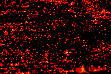 Campfire in the forest during night at the summertime.