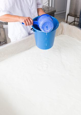 A woman working in a a small family creamery is preparing a cheese batch. The dairy farm is...