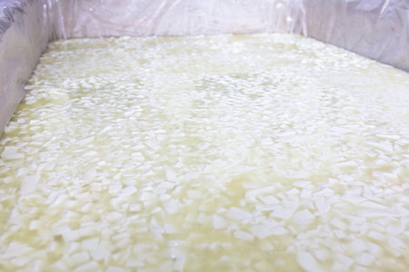 A buffalo white Bulgarian cheese batch in a tank in a small family creamery. The dairy farm is specialized in buffalo yoghurt and cheese production.の写真素材
