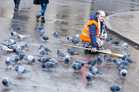 Saint Petersburg, Russia - November 18, 2015: A hygiene worker is squatting among pigeons in the center of Saint Petersburg, Russia.のeditorial素材