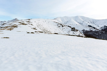 Balkan Mountains covered with snow during the winter.