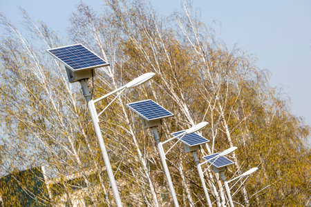 Street lamps above an alley in the park. Every lamp with its own solar panel which collects the energy from the light for the evening.の写真素材