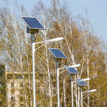 Street lamps above an alley in the park. Every lamp with its own solar panel which collects the...