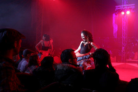 Sofia, Bulgaria - November 6, 2016: Performers are acting during the  musical show in Sofia's circus.のeditorial素材