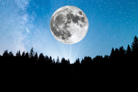 Super Moon. A view of the stars of the Milky Way with a silhouette of a pine trees forest in the...