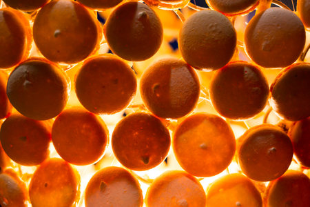 Circular cake macaron or macaroon is a sweet meringue-based confection. Extremely tasty and delicious desserts. Sweets full with sugar. Unhealthy food diet. Orange candies back light. Many bonbon wallの写真素材