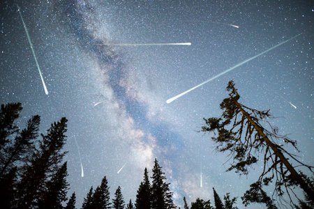 A view of a Meteor Shower and the Milky Way with a pine trees forest silhouette in the foreground....