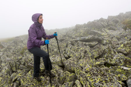 Young woman hikes up a rocky mountain hill with trekking canes. Cold temperature. Purple jacket and black bottoms.の写真素材