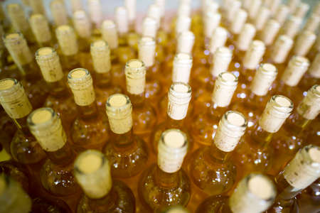 White wine bottles in a winery ordered for labeling before packed and shipped for sale.の写真素材
