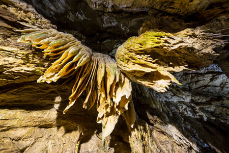 Inside of a beautiful colourful cave. Flowstones, stalactites and stalagmites lighted in different vivid colours.の写真素材