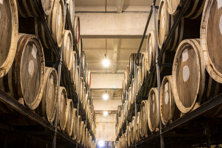 Scotch Whisky Barrel rows. Whiskey and brandy distillery. Oak barrel used to age whiskey.のeditorial素材