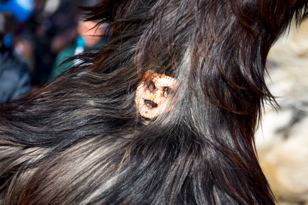 Participants take part in the International Festival of Masquerade Games Surva. The festival promotes variations of ancient Bulgarian and foreign customs and masks.のeditorial素材