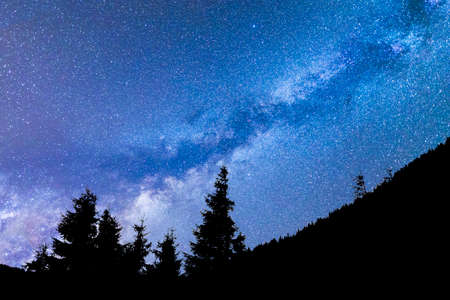 A view of the stars of the blue Milky Way with pine trees forest silhouette in the foreground. Night sky nature summer landscape. Perseid Meteor Shower observation.の写真素材