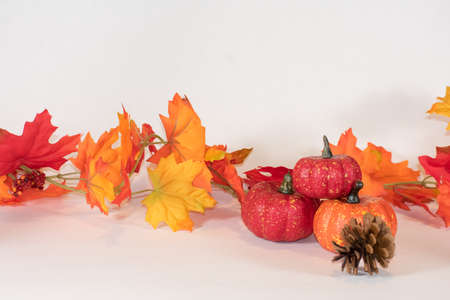 fall leaves and pumpkinsの写真素材