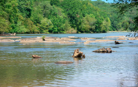Water flowing past rocks in riverの写真素材