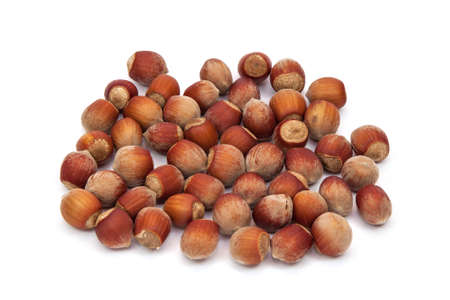 Hazelnuts on a white backgroundの写真素材