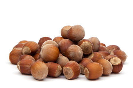 Heap hazelnuts on a white backgroundの写真素材
