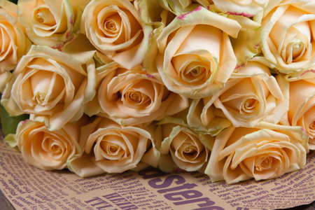 Many natural beatiful beige roses background, sideviewの写真素材