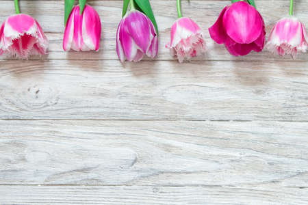 Beautiful tulips on a gray wooden background. Top viewの写真素材