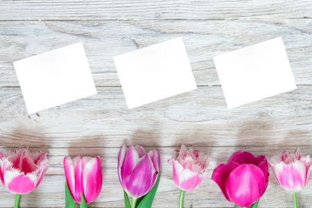 Beautiful tulips on a gray wooden background and white paperの写真素材