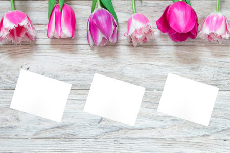 Beautiful tulips on a gray wooden background and white paper. Top view