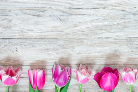 Beautiful tulips on a gray wooden backgroundの写真素材