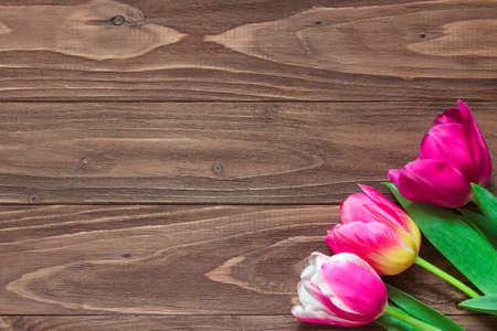 Several beautiful tulips on the right size on a brown wooden backgroundの写真素材