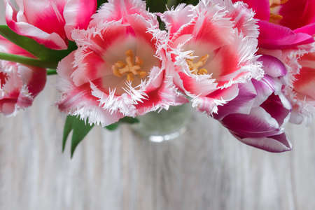 Bouquet of tulips on a grey wooden backgroundの写真素材