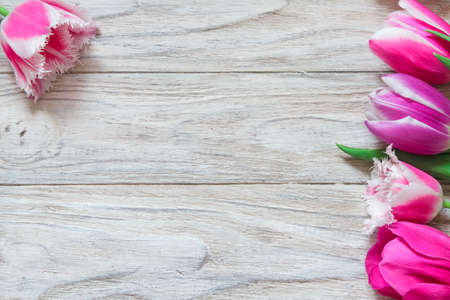 Several tulips on the right side of wooden background. Close upの写真素材