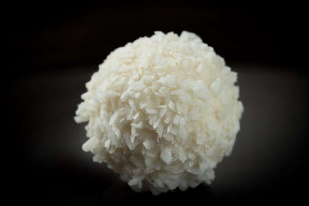 One sweet round coconut candy isolated close-upの写真素材