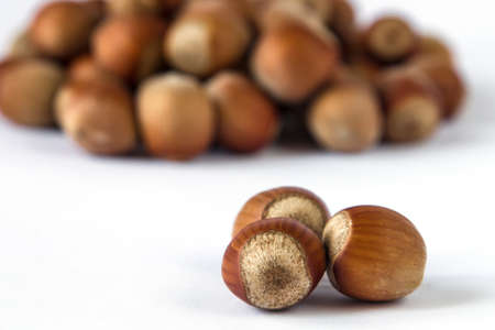 Three hazelnuts with pile of nuts on backgroundの写真素材