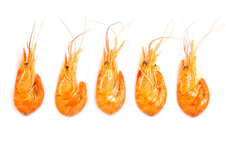 Five boiled shrimps in a raw isolated on white background, top viewの写真素材