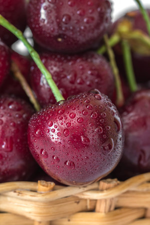 Sweet red charries with water drops in basket.