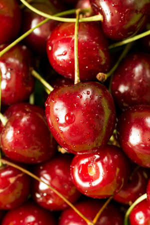 Sweet ripe red cherries close up with water drops, full screenの写真素材