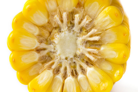 Wallpaper of cut corn macro background pattern