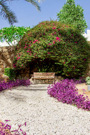 Beautiful landscape design with the bench in the center of the imageの写真素材