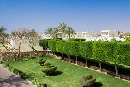 Beautiful garden at hotel resort and building in traditional arabic styleの写真素材