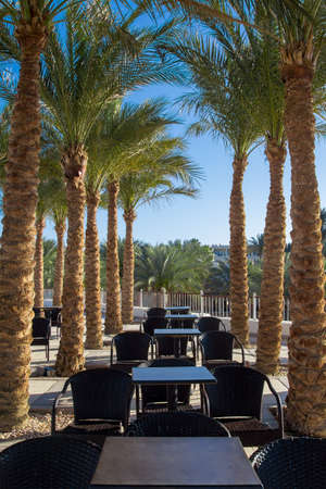 Egyptian resort with palm trees alley and relaxing tea tablesの写真素材