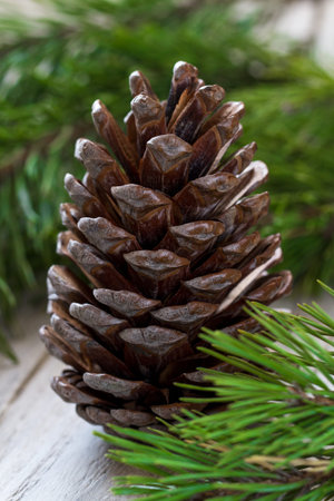 Christmas composition with a cone and fir tree branches, Christmas decorations on wooden tableの写真素材