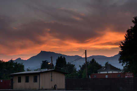 Sunset during a forest fireのeditorial素材