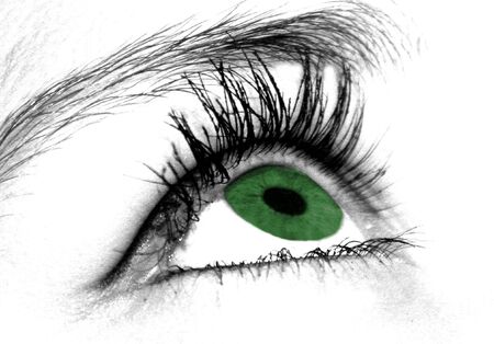 oeil vertの写真素材