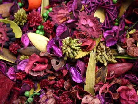 pot pourri violetteの写真素材