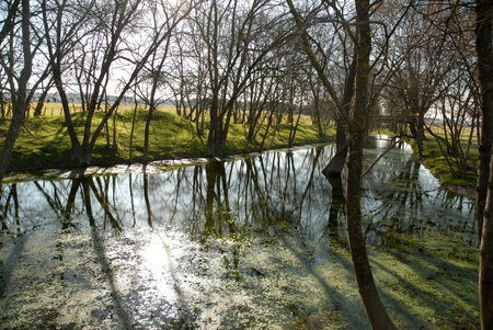 river in winter