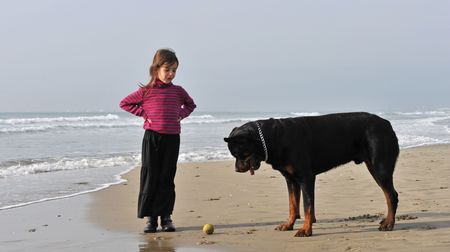 little girl playing with her rottweiler on the beachの写真素材