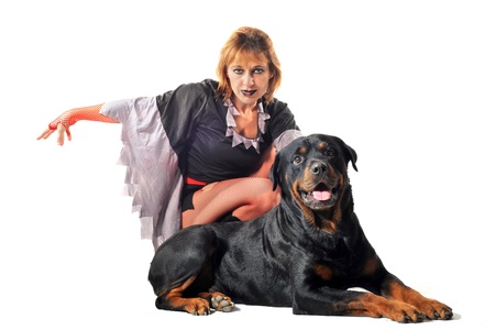 portrait of a witch a purebred rottweiler in front of white backgroundの写真素材