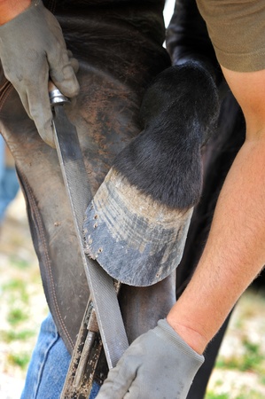 a Farrier rasping an horses hoof, close up on the hoofの写真素材